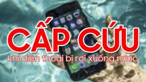 7 Cách cứu iPhone rơi xuống nước mà bạn cần nên biết