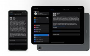 Đã có iOS 14, iPadOS 14 chính thức, mời các bạn cập nhật!